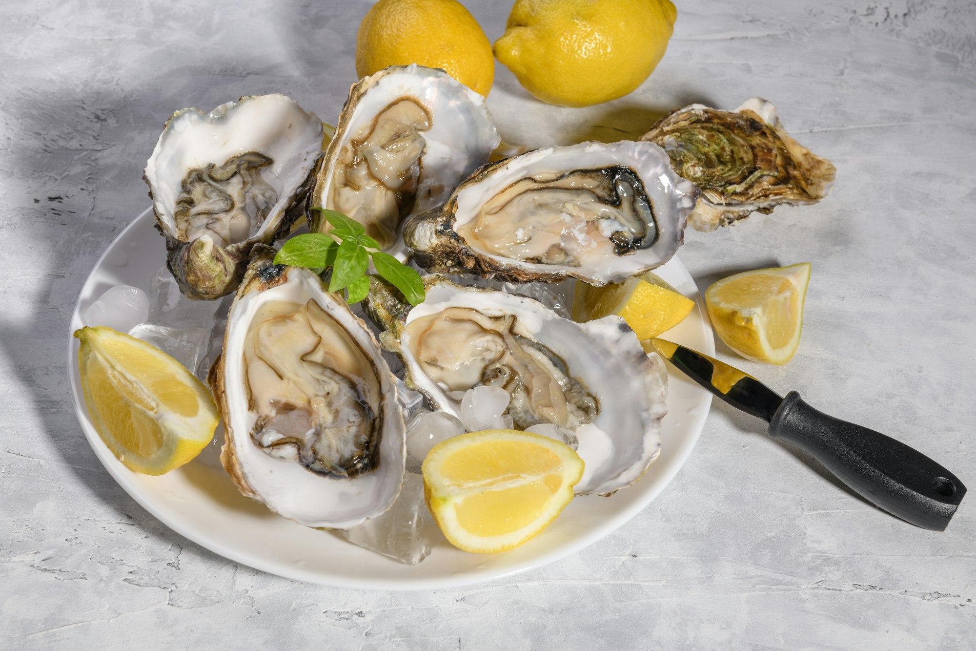 plate of fresh oysters on the ice with lemon
